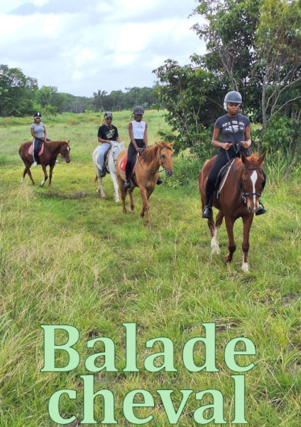 Balade à cheval en Guyane au Royal Ranch Nature Évasion à Macouria dans la savane