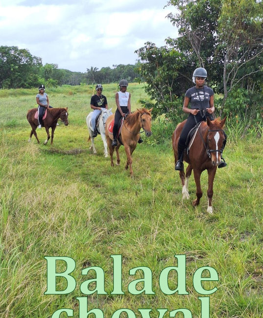 balade à cheval au Royal Ranch Nature Évasion en Guyane