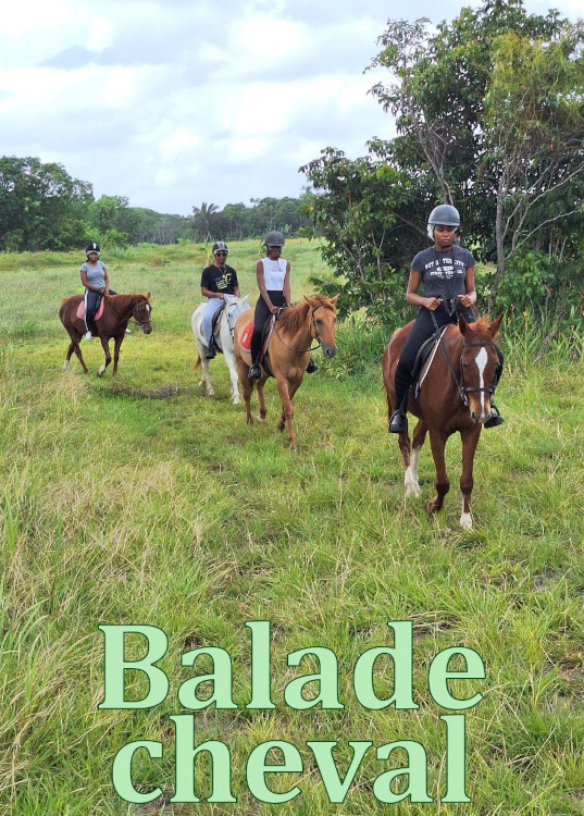 Activités toute l’année au Royal Ranch en Guyane