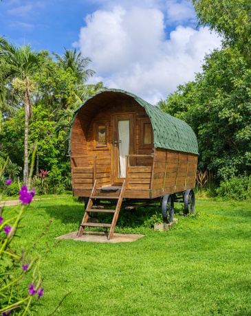 Chariot de cowboy en pleine nature tropicale au Royal Ranch Nature Évasion en Guyane
