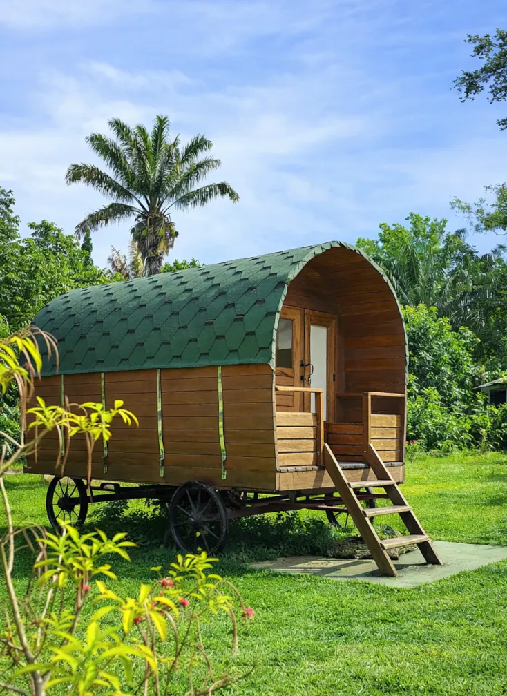 Chariot de cowboy en pleine nature tropicale au Royal Ranch Nature Évasion en Guyane