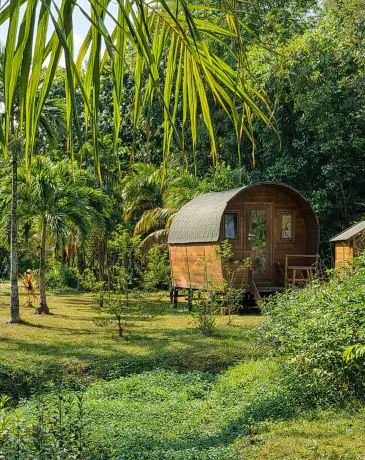 Chariot de cowboy aménagé en hébergement insolite au Royal Ranch en Guyane